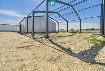 Hala industriala in zona Giarmata Timi? - 22