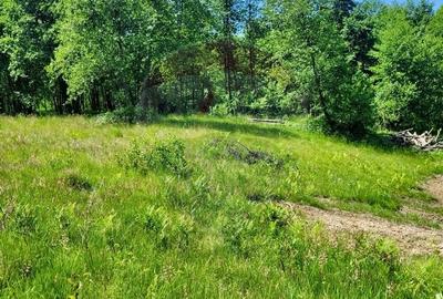 Teren agricol extravilan de 6725 mp, în Hoteni - 3