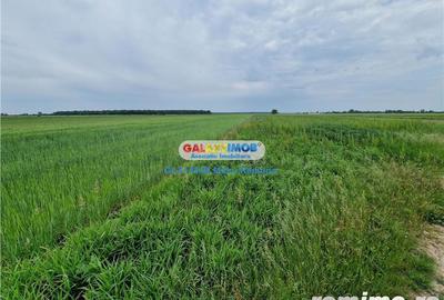 Teren agricol extravilan Uliesti, sat Ragu, apropiere Autostrada A1 - 4