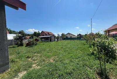 RECO Casa la rosu, la iesire din Les, langa padure - 12