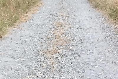 Teren de 2200 mp, în Moldova Veche