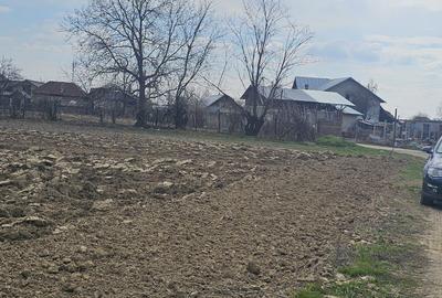 Teren de 1400 mp, în Roșu - 5