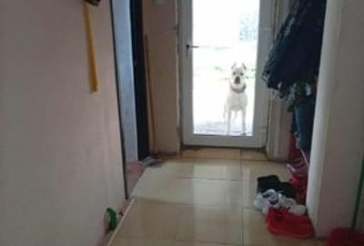 Casa individuala chinteni - 7