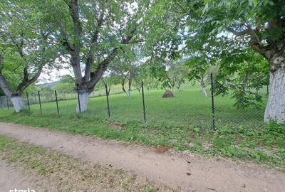 Spațiu comercial, în Benic - 8