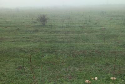 Teren extravilan de vanzare - 6286 mp- Tg jiu , jud Gorj - 7