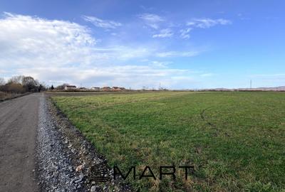 Teren agricol extravilan de 15000 mp, în Prejmer - 3