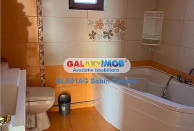 De inchirere  vila  Stefanesti Lidl  ....curte amenajata teren 450 mp - 8