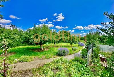 VILA INDIVIDUALA/TEREN 2000MP/VEGETATIE MATURA/CURTE AMENAJATA VILA INDIVIDUALA/TEREN 2000MP/VEGETATIE MATURA/CURTE AMENAJATA - 38