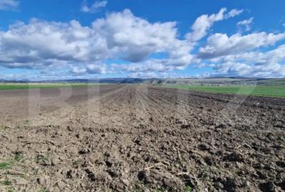 Teren de 15000 mp, în Central - 2