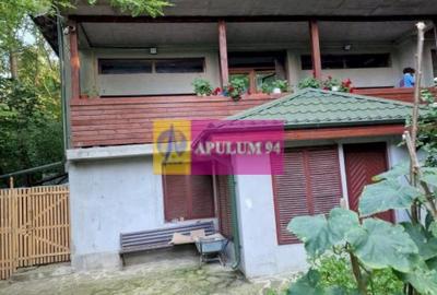 Casă de vânzare în Provița de Jos - 24