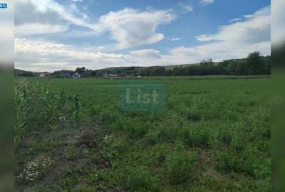 Teren de 22400 mp, în Fundătura