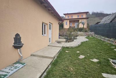 Casă cu 2 camere în Podgoria - 20