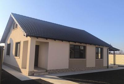 Casă cu 3 camere în Sânmihaiu Român - 7