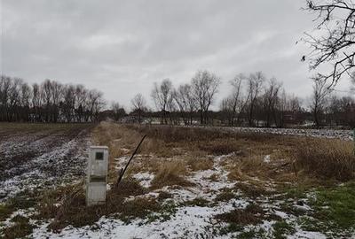 Teren intravilan in Santaul Mare - 2