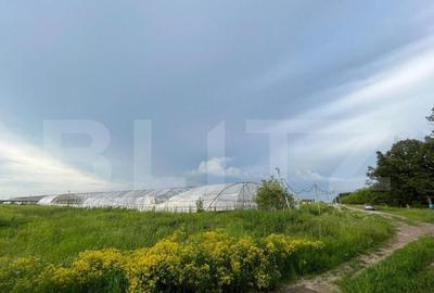 Teren par?ial intravilan 23.500 mp, apa, curent ?i suprav - 5