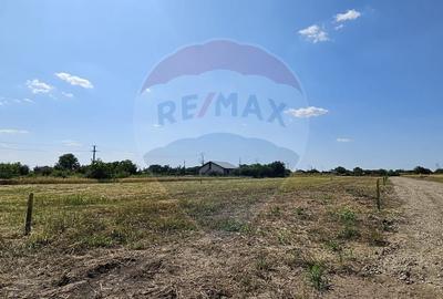 Teren Construcții intravilan de 490 mp, în Postăvari - 6