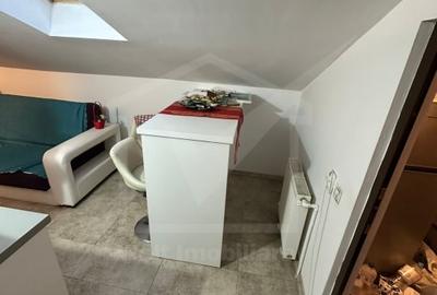 Apartament cu 3 camere semidecomandat, mobilat în Câmpului - 10