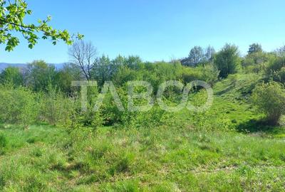 Teren intravilan 4280 mp acces la drum si utilitati zona deosebita - 10