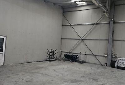 Hala 437 mp Domnesti - Pasaj - 4