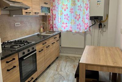 Apartament cu 2 camere decomandat în Podu Roș - 1