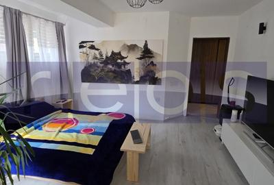 Garsonieră în Valea Oltului - 2