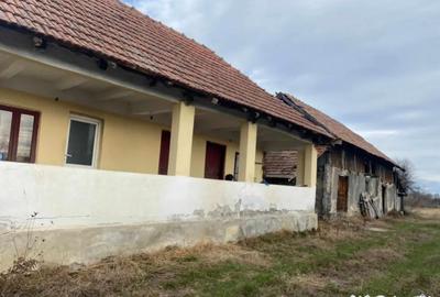 Casă cu 3 camere cu Teren 3300 Mp în Central - 5