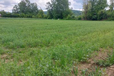 Spațiu comercial, în Vladimir - 1