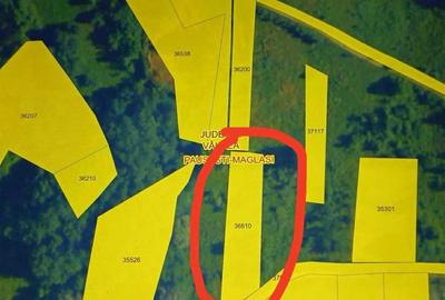 Spațiu comercial, în Păușești - 1