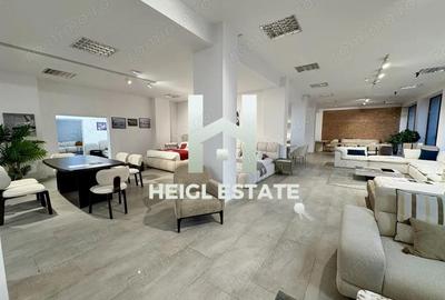 Spațiu comercial, de 407 mp, în Șagului