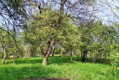 Casă cu 4 camere în Călata - 3