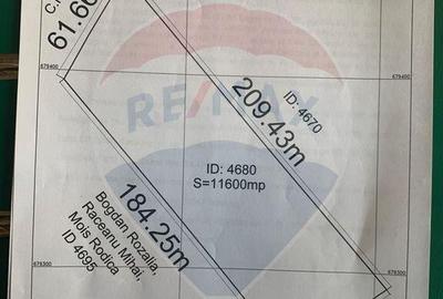 Teren de vanzare industrial Lapusel - 2