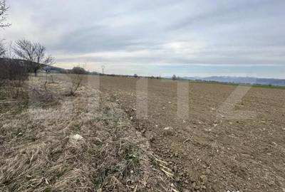 Teren în Central - 2