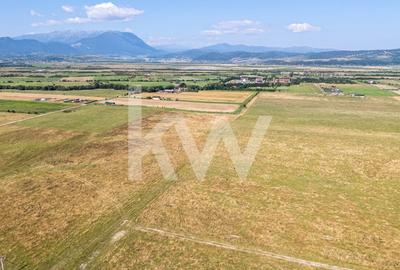 Teren : Parcele de 1.000 mp in Glajerie, Rasnov - comision 0% pentru cumparator! - 4