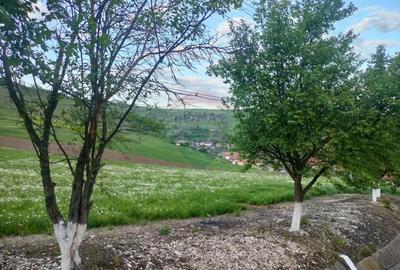 Teren de 1577 mp, în Târnăveni - 6