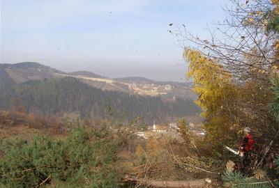 Teren arabil intravilan , priveliste mirifica , zona Schei - 12