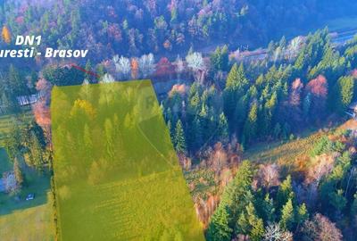 Teren 10,000mp Timisu de Jos , PARCELABIL min 250 mp - 2