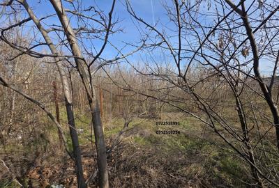 Teren în Drumul Taberei - 3