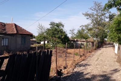 Casă cu 3 camere în Lipia - 2