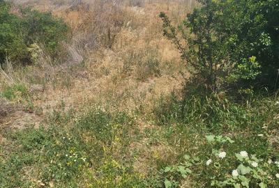 Teren de 22000 mp, în Podu Turcului - 3