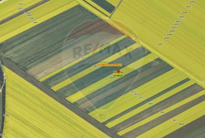 Teren Construcții intravilan de 7000 mp, în Stoenești (Florești-Stoenești) - 15
