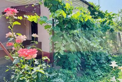 Casa 3 Camere - loc. Ciacova - 0% Comision - 14