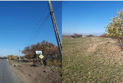Teren de 10000 mp, în Șiria - 3