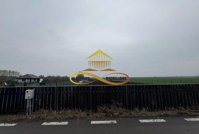 Teren de vanzare Filipesti Bacau 6838 mp - 5