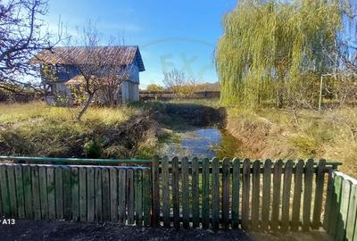 0% COMISION!!! CASA CU LAC IN INIMA PADURII  - DEALU BRADULUI - 15