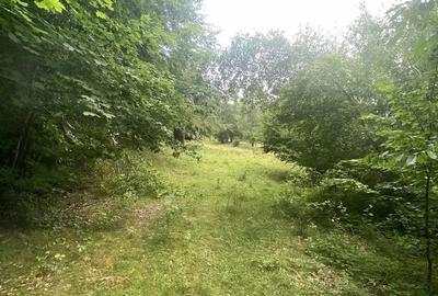 Teren de 1000 mp, în Breaza de Sus - 3