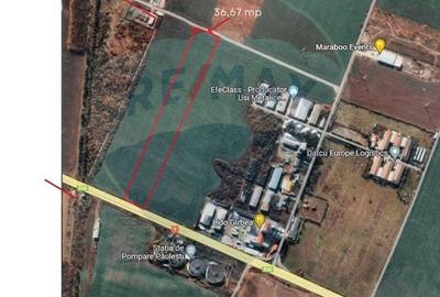 Teren agricol extravilan de 19999.9 mp, în Păulești