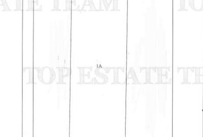 TEREN INTRAVILAN 50000 MP AGIGEA ZONA RO RO TEREN INTRAVILAN 50000 MP AGIGEA ZONA RO RO - 4