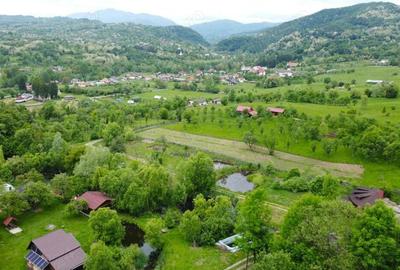 Cabana Bradulet s-a VANDUT - 3