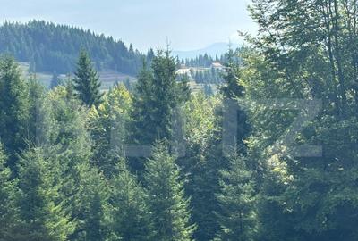 Teren de 20000 mp, în Central - 14