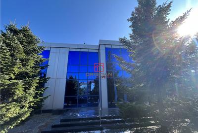 Depozit/hala/spatiu industrial Bragadiru - Centura, ILFOV - 7